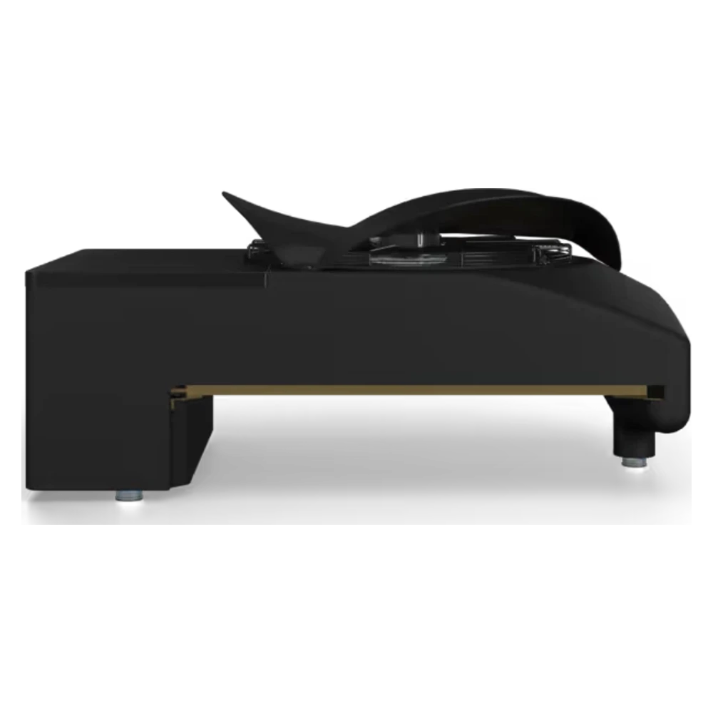 Blackbird